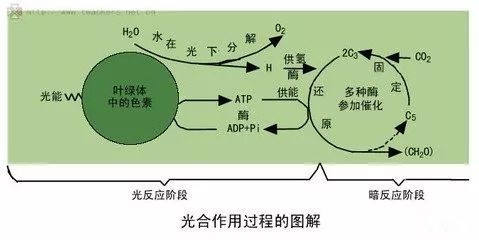 14_复本.jpg